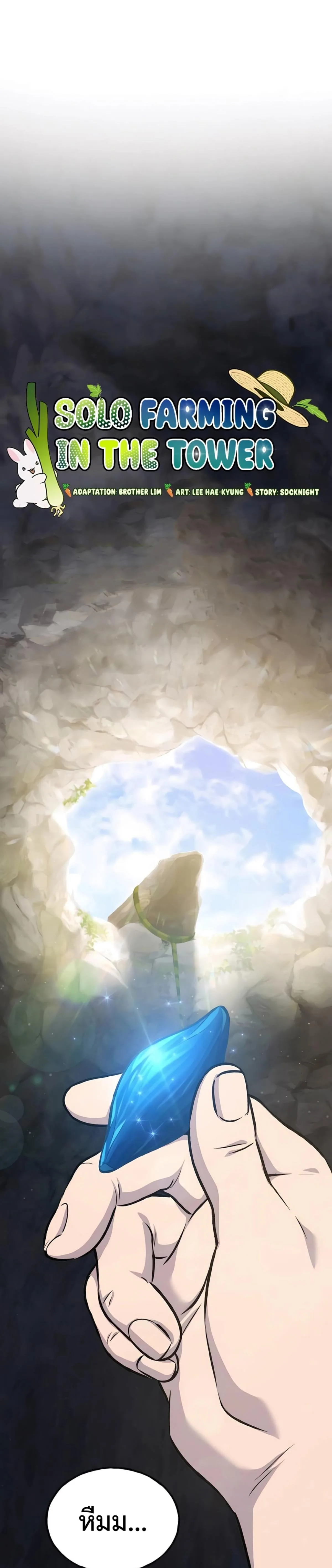 Solo Farming In The Tower ตอนที่ 86 หน้า 11