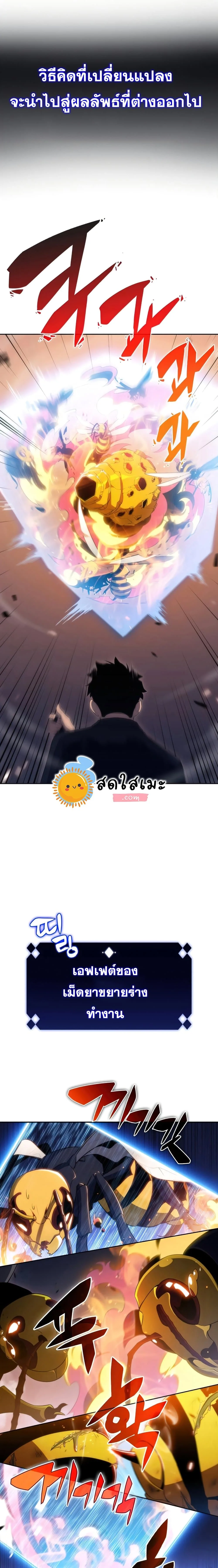 Solo Max-Level Newbie ผู้เล่นหน้าใหม่เลเวลแมกซ์ ตอนที่ 30 หน้า 13