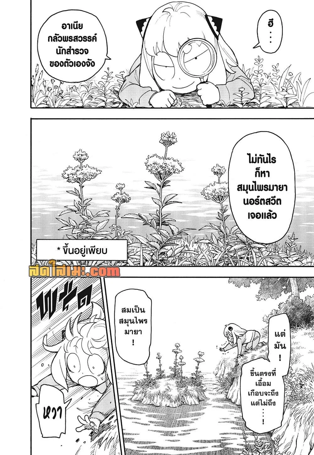 Spy X Family ตอนที่ 140 หน้า 12