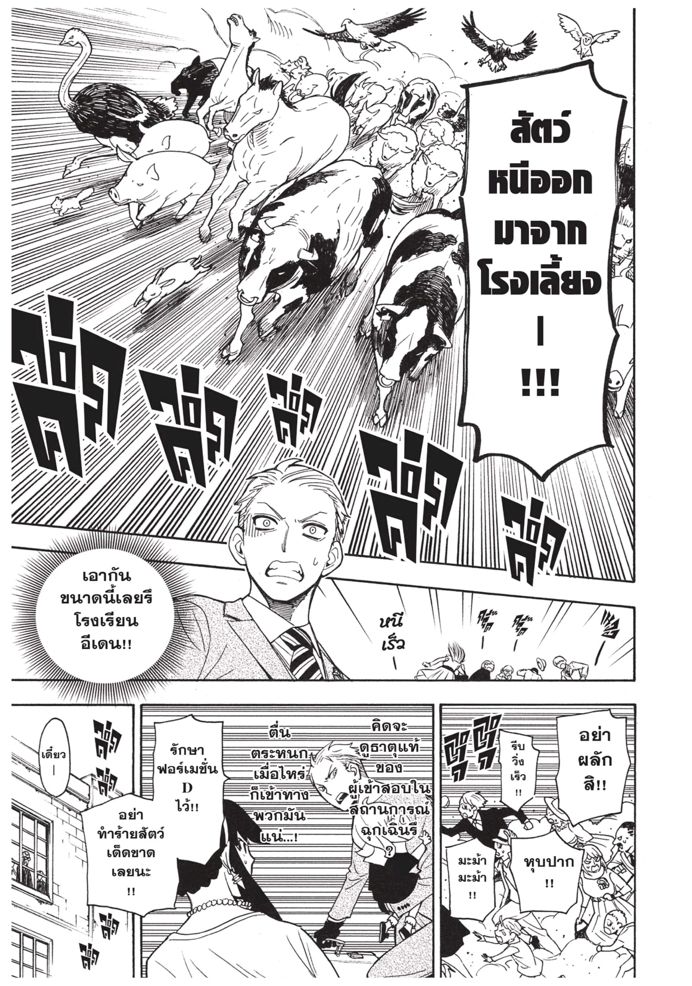 Spy X Family ตอนที่ 4 หน้า 17