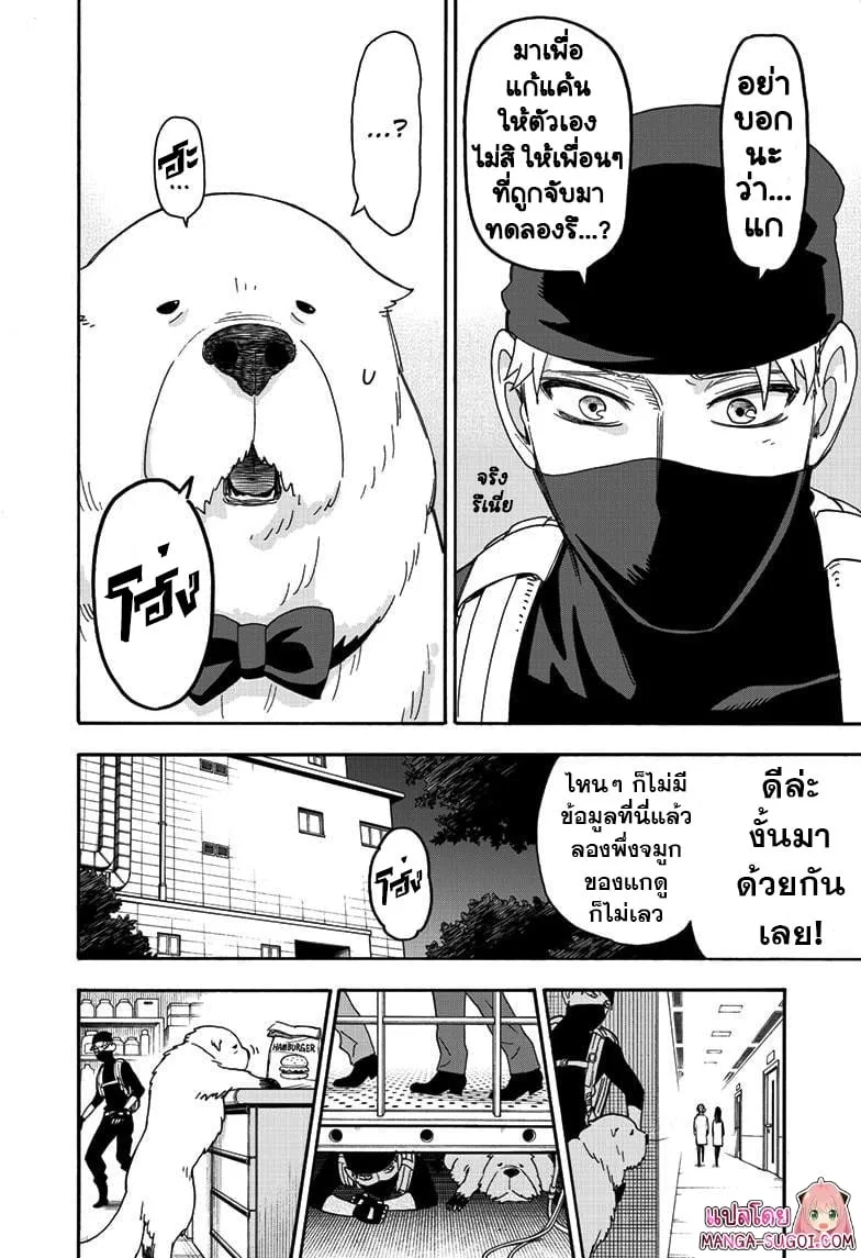 Spy X Family ตอนที่ 40 หน้า 17