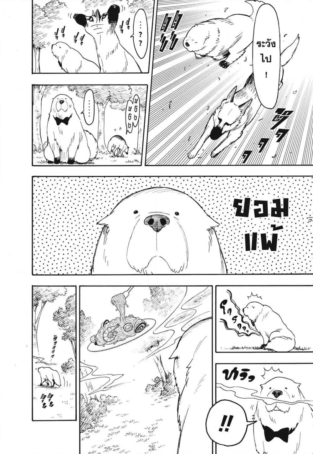 Spy X Family ตอนที่ 78 หน้า 16