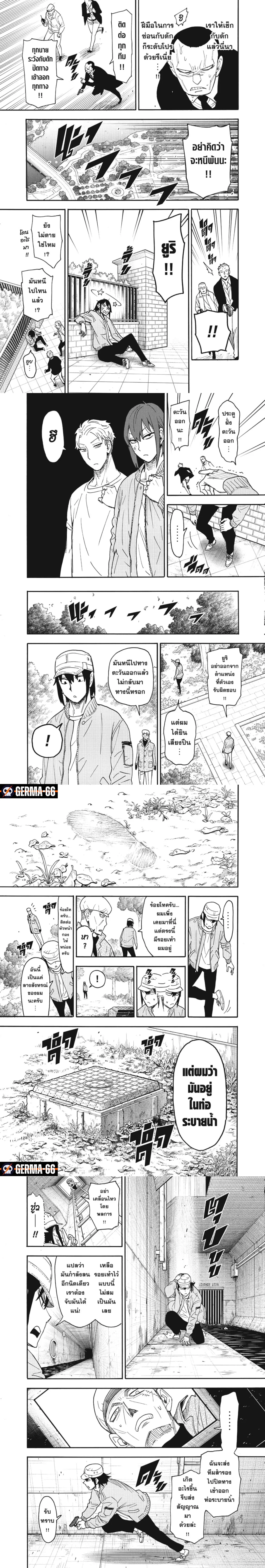 Spy X Family ตอนที่ 82 หน้า 3