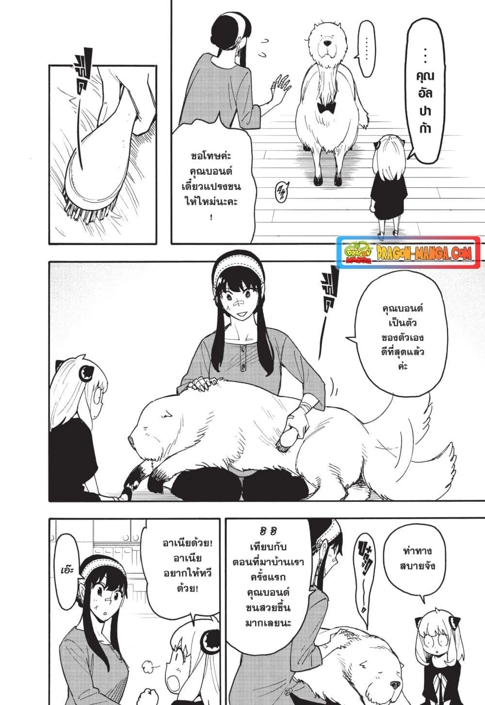 Spy X Family ตอนที่ 87 หน้า 12