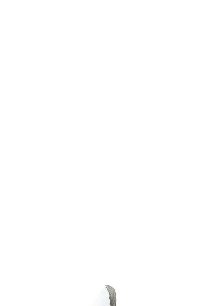 Superhuman Era ยุคแห่งยอดมนุษย์ ตอนที่ 221 หน้า 17