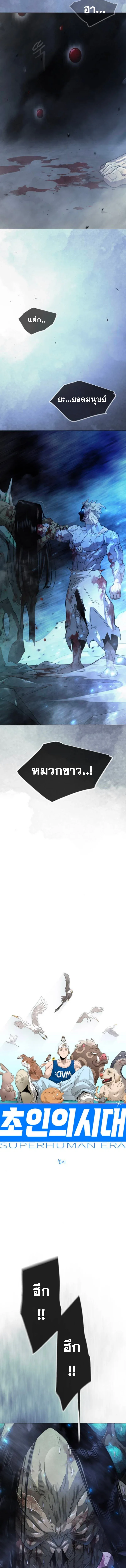 Superhuman Era ยุคแห่งยอดมนุษย์ ตอนที่ 240 หน้า 5