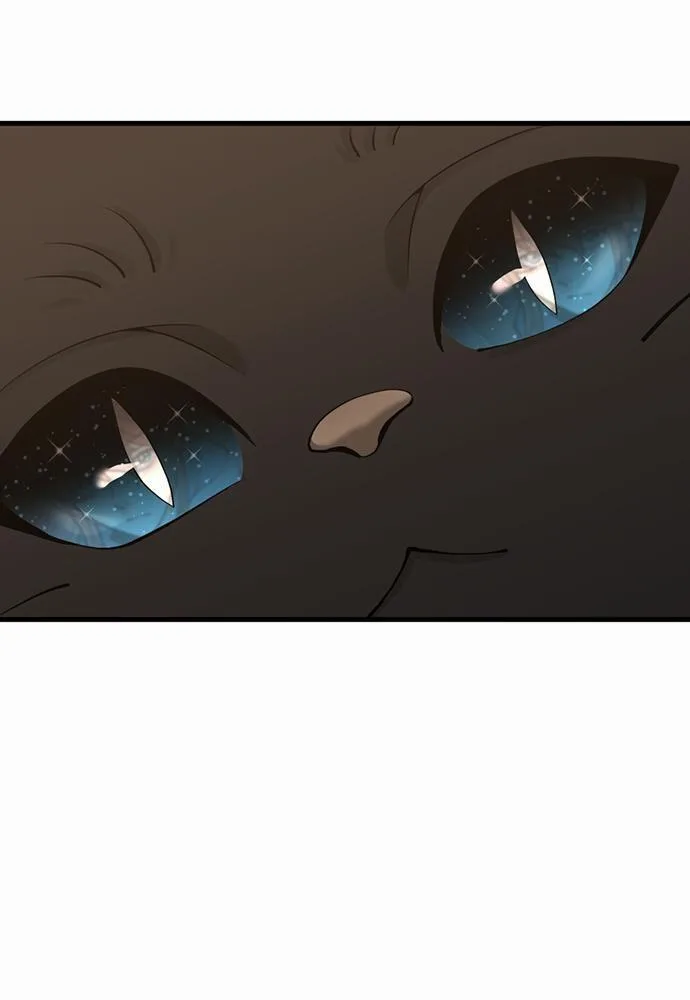 The Beginning After the End จุดเริ่มต้นหลังจุดจบ ตอนที่ 121 หน้า 74